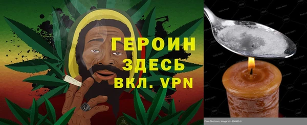 хмурый Алексин
