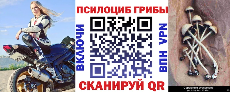 Галлюциногенные грибы Cubensis  Кремёнки 